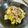 azbjbn's cooksnap of when they made 副菜あと一品に！白菜としいたけ炒め.