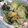 はらぺこ青虫's cooksnap of when they made ＊新玉ねぎとほうれん草のグラタン＊.