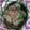 とて虫's cooksnap of when they made きゅうりの簡単！塩麹和え.