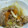 まょっち's cooksnap of when they made 白菜と豚肉のうま煮.