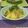 あっこ・Y's cooksnap of when they made 豚ネギ焼きうどん(o^-')b.