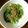ムサムサ's cooksnap of when they made 簡単！小松菜とちりめんじゃこのポン酢かけ.