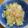 yume1029's cooksnap of when they made ツナ大根青じそ合え　ダイエット向け！.