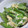 こずっぺ's cooksnap of when they made 簡単☆たっぷり絹さやの卵とじ♪.