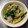 ☆こりら☆'s cooksnap of when they made 筍と小松菜の塩豚炒め.