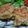 あわわわわわ's cooksnap of when they made 鶏挽肉で和風ハンバーグ☆.