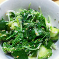 ぴなつこ's cooksnap of when they made 簡単美味☆三つ葉ときゅうりの塩こうじ和え.