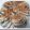 k’skitchen's cooksnap of when they made 折込みパン　ショコラ.