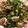 〜Pi＊To〜's cooksnap of when they made 豆苗と豆もやしのニラ玉オイマヨ炒め.