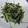新米主婦☆なぁ's cooksnap of when they made ほんのり甘いほうれん草の和え物.