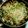 yukikoyoung's cooksnap of when they made あさりの酒蒸しスパゲッティ.