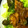 ペピィー's cooksnap of when they made 簡単☆美味しいしょうが焼き♪.
