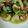fluegel's cooksnap of when they made タコとセロリのバジル炒め.