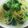 ＊猫音＊'s cooksnap of when they made あさりとベーコンの✿クリームパスタ.