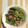 みついひさし's cooksnap of when they made 煮豚とスナップえんどうの胡麻マヨ和え.
