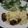 ちーさん＆おさくん's cooksnap of when they made ご飯が進む★我が家のチキン南蛮.