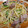 Tcnm's cooksnap of when they made 豚肉とほうれん草の和風パスタ.