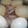 ここあ１２'s cooksnap of when they made 我が家の角煮.