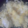 dorafan's cooksnap of when they made ふわふわタマゴ.