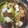 豆夢zumu's cooksnap of when they made 簡単タレも手作り♡基本のすき焼きの作り方.