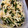 ガトーフリュイン's cooksnap of when they made 簡単☆もやしとワカメのなめ茸和え.