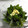 ★ｽｰﾊﾟｰまりた★'s cooksnap of when they made 生のめかぶをいただいたら(覚書）.