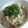 ｙｕｔｅｙｕｔｅ's cooksnap of when they made エノキとツナの塩麹ごはん.