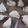 ゆうこwith３人's cooksnap of when they made 豆乳さくさく♬ スコーン♩.