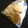 らぷちま's cooksnap of when they made 超簡単でおいしいイギリス風さくさくクッキー♪.