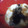 dorafan's cooksnap of when they made ♥和風ヨーグルト♥.