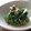 ちーさん＆おさくん's cooksnap of when they made 簡単すぎる水菜のなめたけ和え.