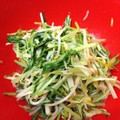 めそ。's cooksnap of when they made 簡単☆もやしと水菜炒め.