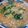 ﾌﾞﾚﾝﾀﾞ's cooksnap of when they made 中華風あんかけインスタントラーメン.