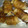 シトラすいか's cooksnap of when they made 節約レシピ?! えのきの豚肉巻き.