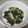 まるすけママ's cooksnap of when they made 蕗の葉のじゃこ炒り.