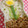 ママフィオ's cooksnap of when they made 簡単◎うずら卵deお花畑のお弁当◎.