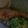 おますちゃん's cooksnap of when they made ルクエで鮭の白ワイン蒸し.