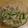 はるたん6212's cooksnap of when they made 簡単 もやしのナムル.