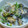サドリカ's cooksnap of when they made 旨々♪あさり丼♪.