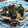 QPはにー's cooksnap of when they made こしあぶらと竹輪とわかめの炒め物.