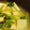 nishipin's cooksnap of when they made 豆腐とたっぷり三つ葉の卵とじ.