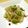 mcc5646's cooksnap of when they made 黒豆もやしとそら豆の前菜サラダ.