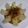 megtam♪'s cooksnap of when they made 簡単に一品☆たまねぎのレンジ蒸し♪.