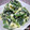 ともともまんま's cooksnap of when they made ほうれん草のたまマヨサラダ.