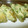 はーとねこ's cooksnap of when they made ミョウガタケの卵焼き.