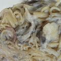tonocci's cooksnap of when they made 適当☆豆腐と豆乳でクリームパスタ.