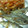 SILK0205's cooksnap of when they made ★翌日も美味！豆鯵（小鯵）の南蛮漬け★.