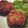shihomasa's cooksnap of when they made 椎茸の肉詰め.