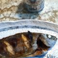 しんちゃん４０１'s cooksnap of when they made イサギの塩焼き.