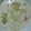 myd★k's cooksnap of when they made あったか♪白菜と牡蠣の和風ミルク煮.